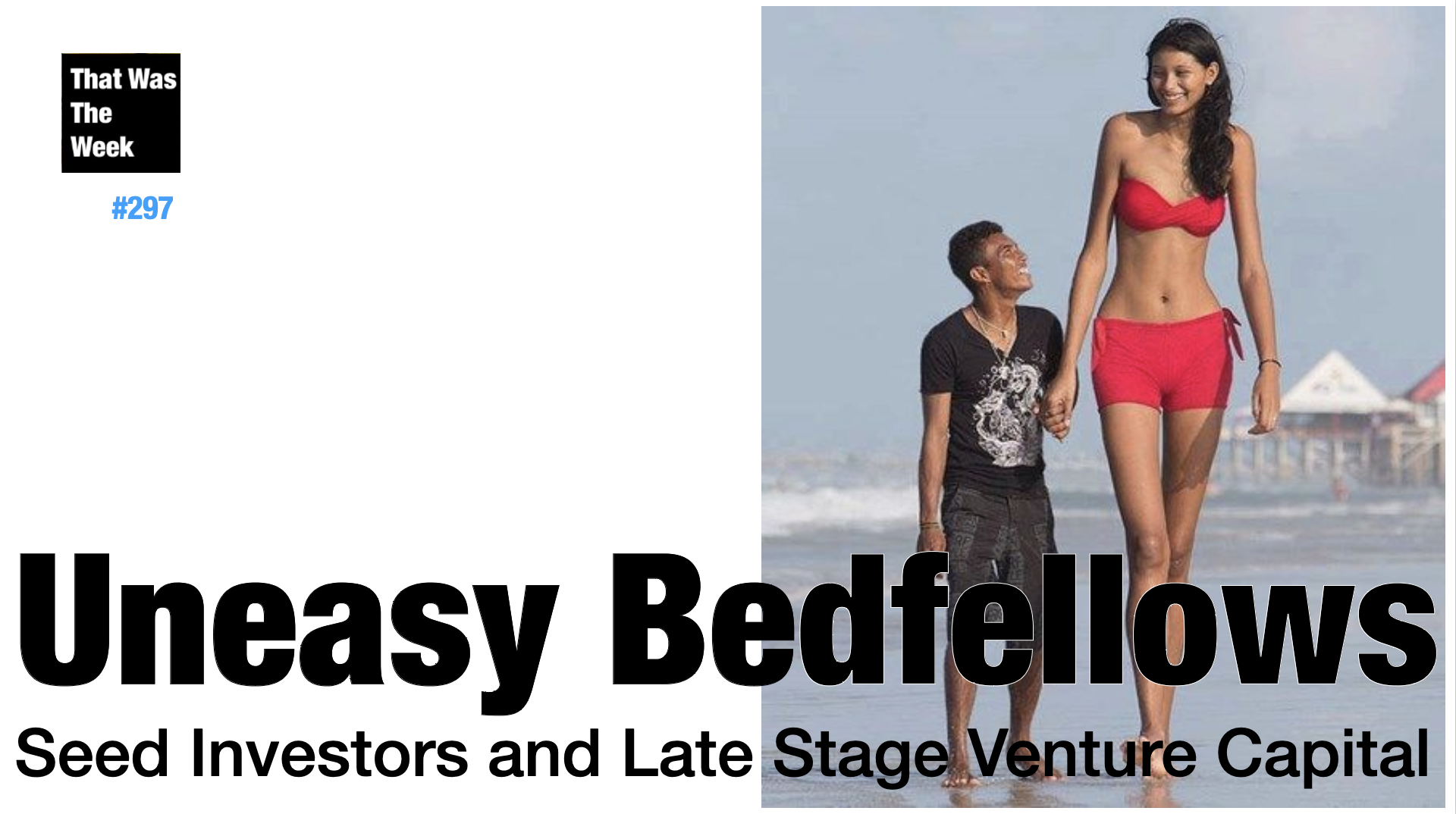 Uneasy Bedfellows: Seed Investors and Late Stage VC cover image