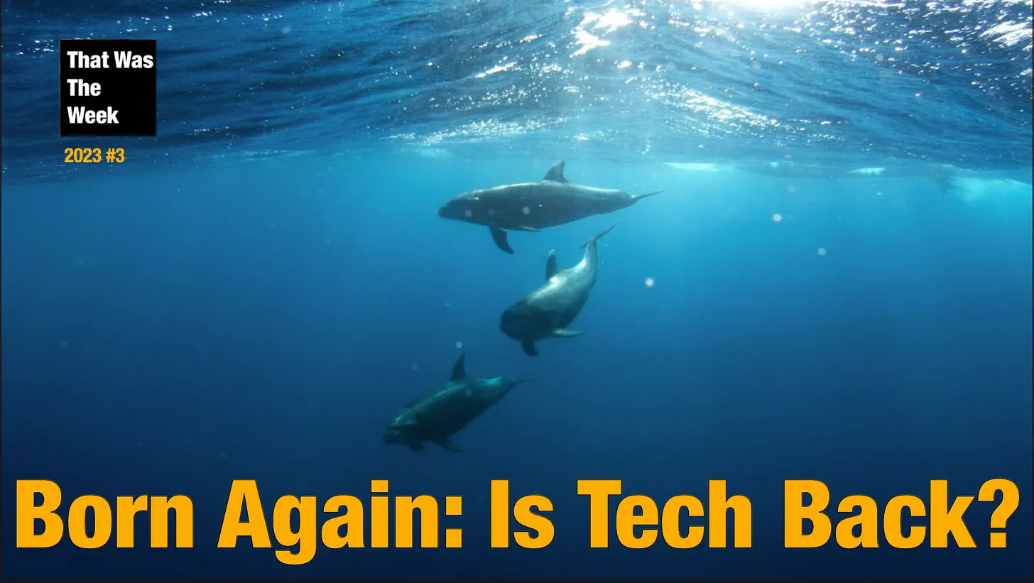 Born Again: Is Tech Back? cover image