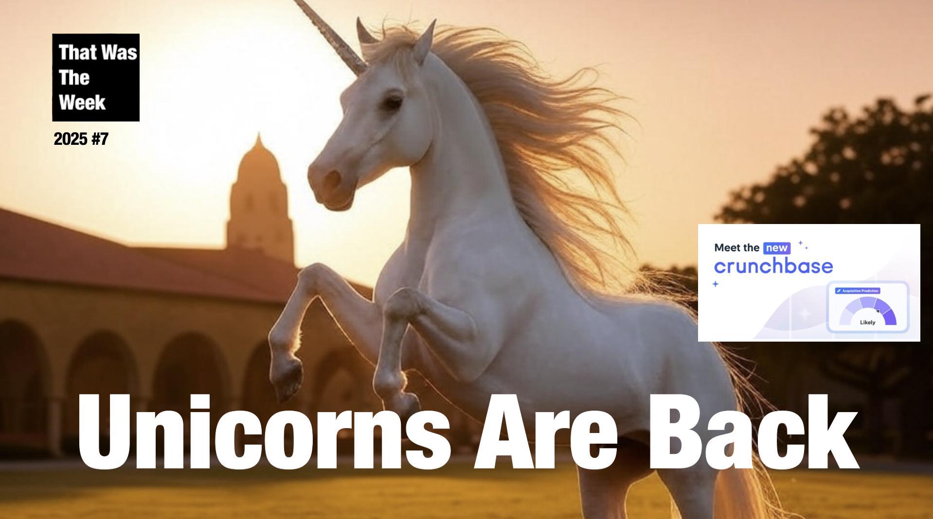 Unicorns Are Back cover image